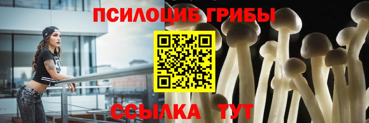 Псилоцибиновые грибы мицелий  Вход с VPN  Назарово 